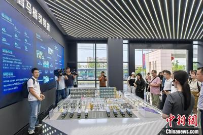 探访泉州博士后工作站:栽梧引凤攻克关键技术难题