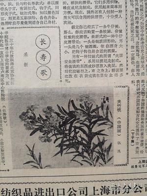 文汇报1985年7月13日我国将建博士后科研流动站,晋江假药案的前前后后引出教训,上海建立上海师范专科学校和上海幼儿师范专科学校,司徒达宏独奏音乐会,上海中药一厂人参蜂皇浆生产照片,虹口东兴菜馆 丁世华照片,陶瓷工艺美术师陈荣明侧记附照片及照片,上海港水上消防史话,张溪国画《夹竹桃郭德洁女士之死,》