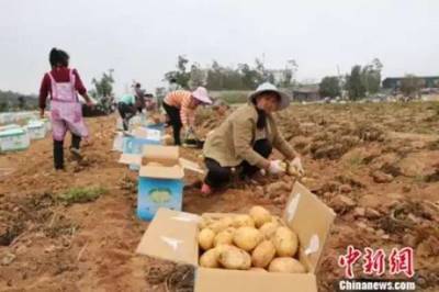 【观点交锋】竟有高校成立“龙虾学院”!网友:我能一口气念到博士后