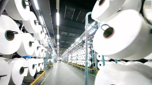 智造升级驱动产业革新，晋江博士后引领创新浪潮