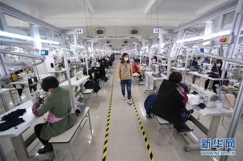 福建晋江 筑牢防疫屏障，加速复产复工，博士后力量注入发展新动能